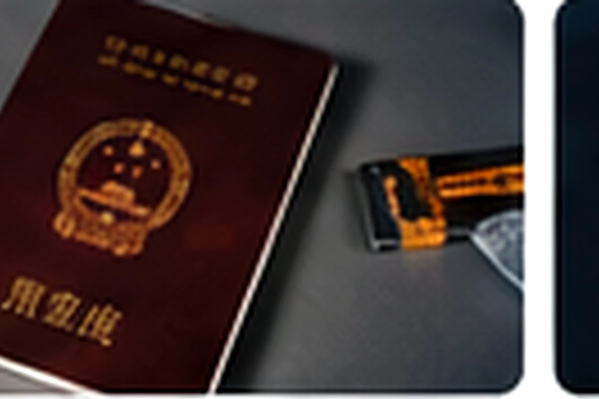 Passport and identity-document check